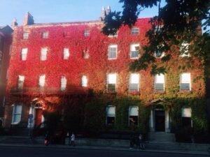 14522612_10207368970450295_43672171_o