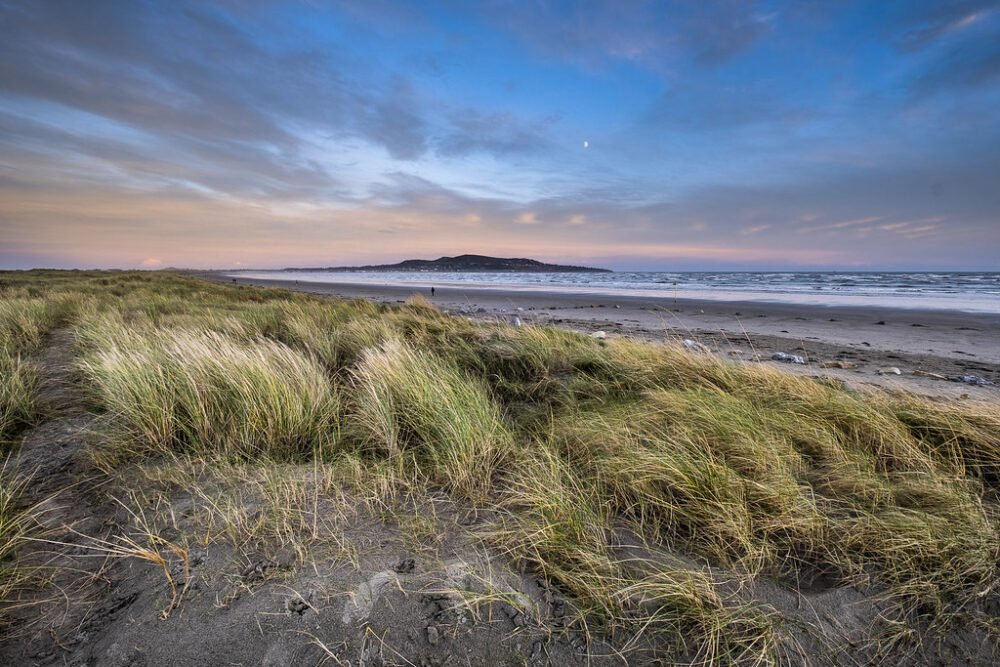 Bull Island, Dublin