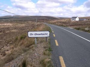 history of the irish language