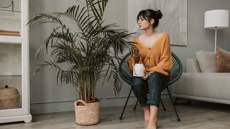 10 houseplants that help boost your mental health