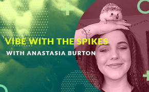 Vibe with the Spikes with Anastasia Burton playing for Babylon
