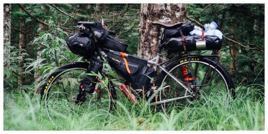 This image has an empty alt attribute; its file name is MixCollage-23-May-2025-04-46-PM-9744-1024x512.jpg