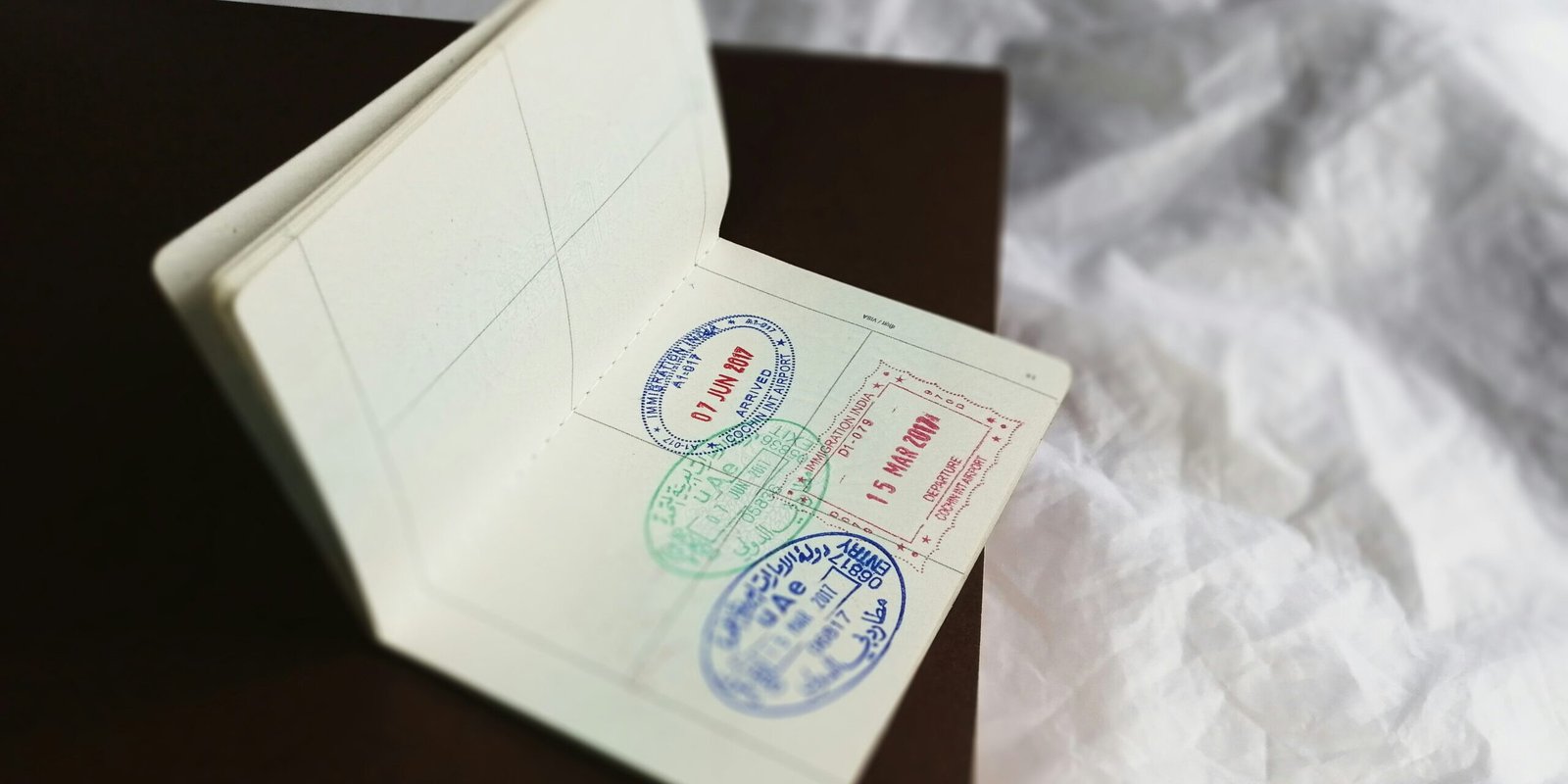 Japan Immigration Assistance